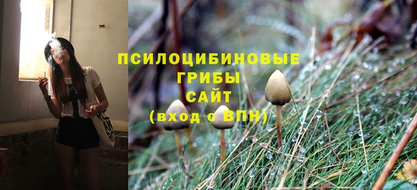 героин Алексин