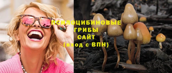 а пвп мука Алзамай