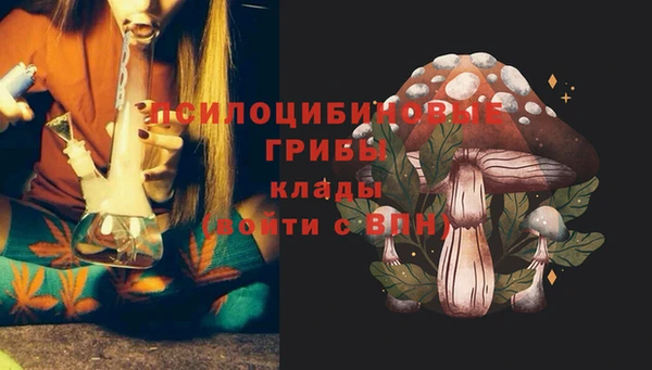 кокаин Алексеевка