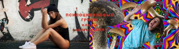кокаин Алексеевка