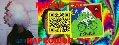 спиды Гудермес