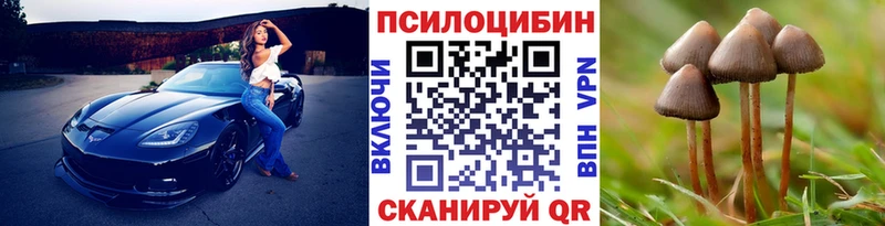 Псилоцибиновые грибы ЛСД Богородицк