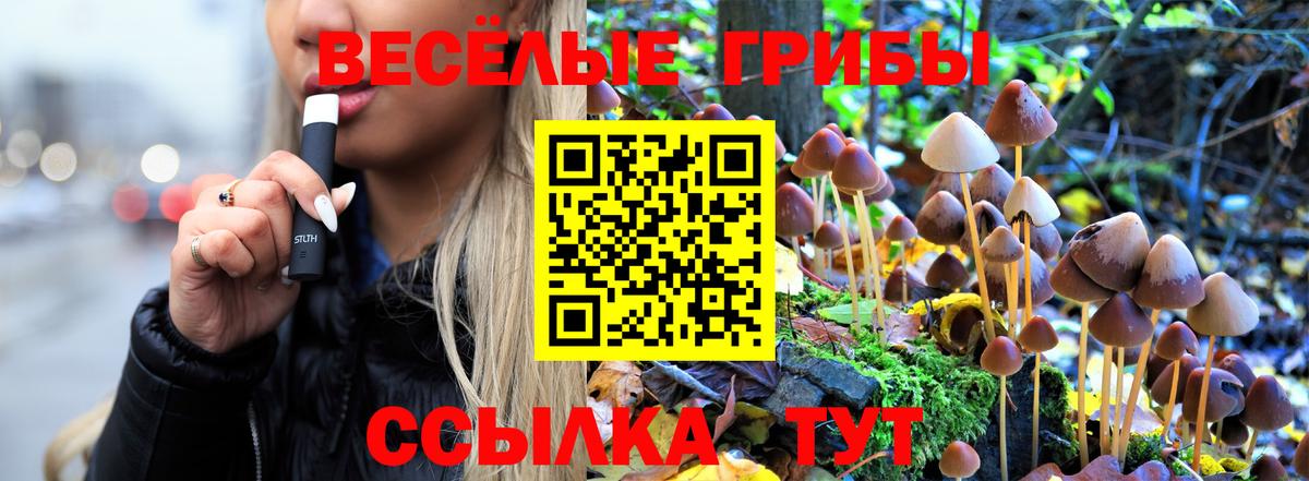 Псилоцибиновые грибы GOLDEN TEACHER  Галлюциногенные грибы Cubensis  Вход с VPN  Богородицк 