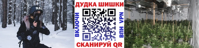 Бошки марихуана Ganja Богородицк